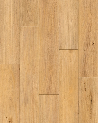 ECOW9005