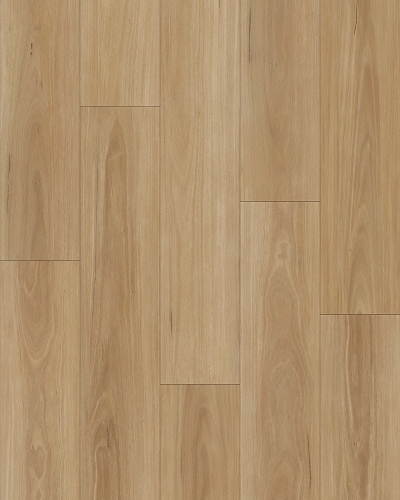 ECOW9062